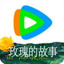 sm免费公开视频网站